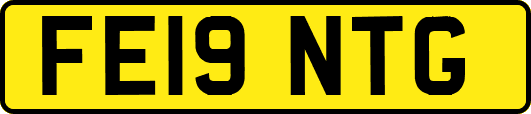 FE19NTG
