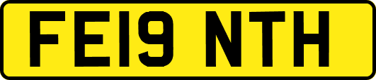 FE19NTH