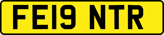 FE19NTR