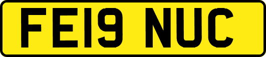 FE19NUC