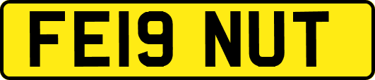 FE19NUT
