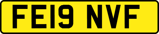 FE19NVF