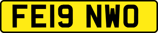 FE19NWO