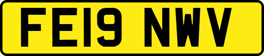 FE19NWV