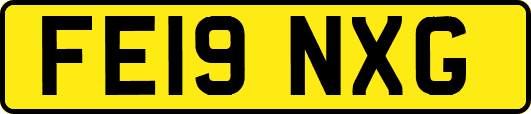 FE19NXG