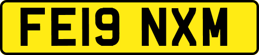 FE19NXM