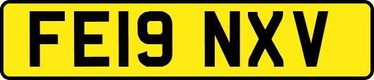 FE19NXV