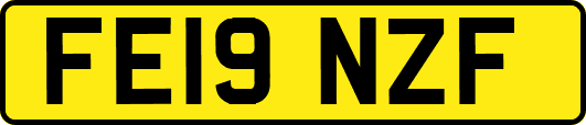 FE19NZF