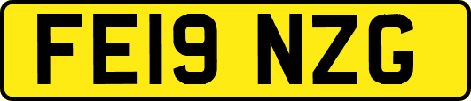 FE19NZG