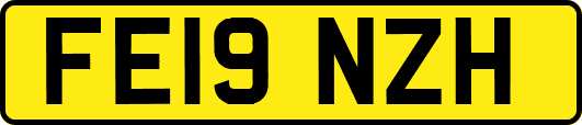 FE19NZH