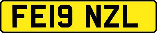 FE19NZL