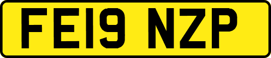 FE19NZP