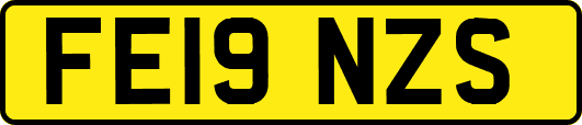 FE19NZS