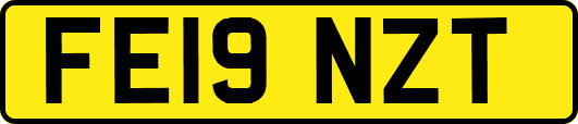FE19NZT