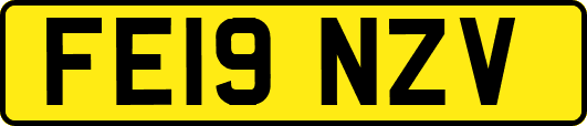 FE19NZV