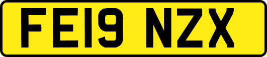 FE19NZX