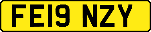 FE19NZY