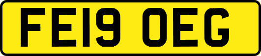 FE19OEG