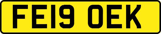 FE19OEK