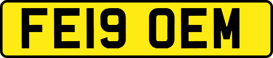 FE19OEM