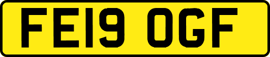 FE19OGF