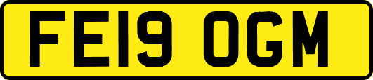 FE19OGM