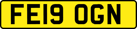 FE19OGN