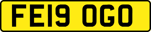 FE19OGO