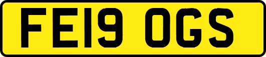 FE19OGS