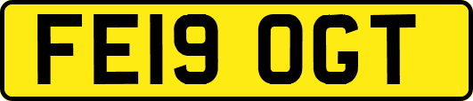 FE19OGT
