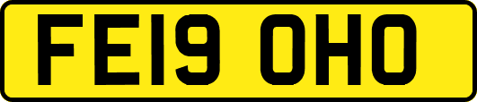 FE19OHO
