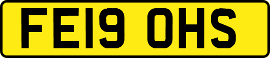 FE19OHS