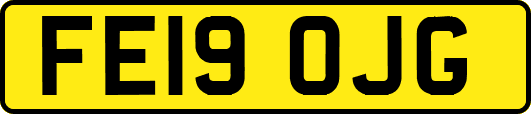 FE19OJG