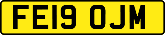 FE19OJM