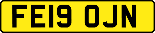FE19OJN