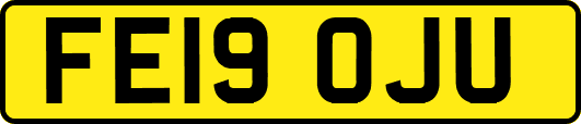 FE19OJU
