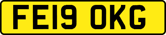FE19OKG