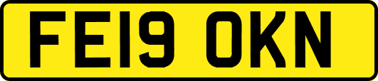 FE19OKN