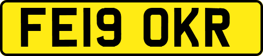 FE19OKR