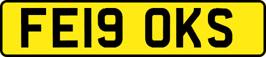 FE19OKS