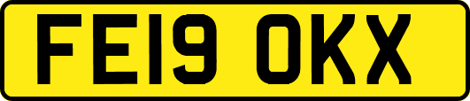 FE19OKX