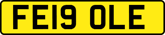 FE19OLE