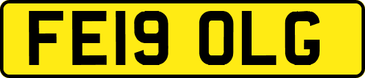FE19OLG