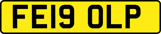 FE19OLP