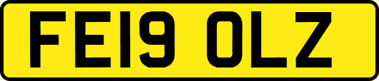FE19OLZ