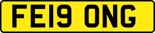 FE19ONG