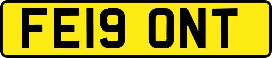 FE19ONT