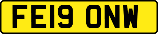 FE19ONW