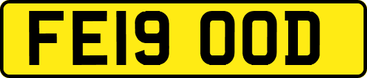FE19OOD