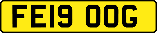 FE19OOG